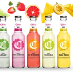 Ice Corote 275ml long neck - Sabores