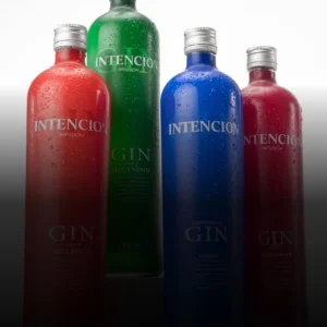 Gin Intencion 900ml - Sabores